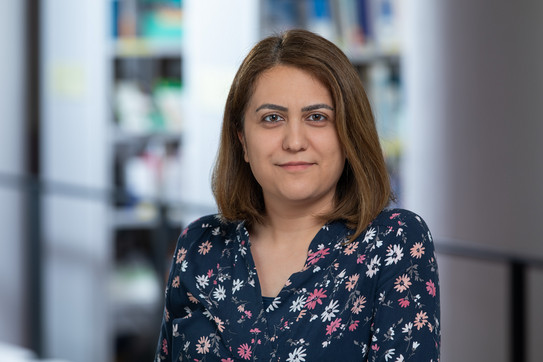 Portraitfoto Sara Hamideh Kerdar