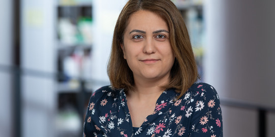 Portraitfoto Sara Hamideh Kerdar